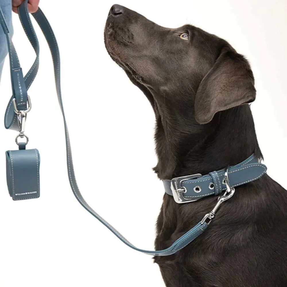 WILLIAM WALKER COLLAR LEATHER
